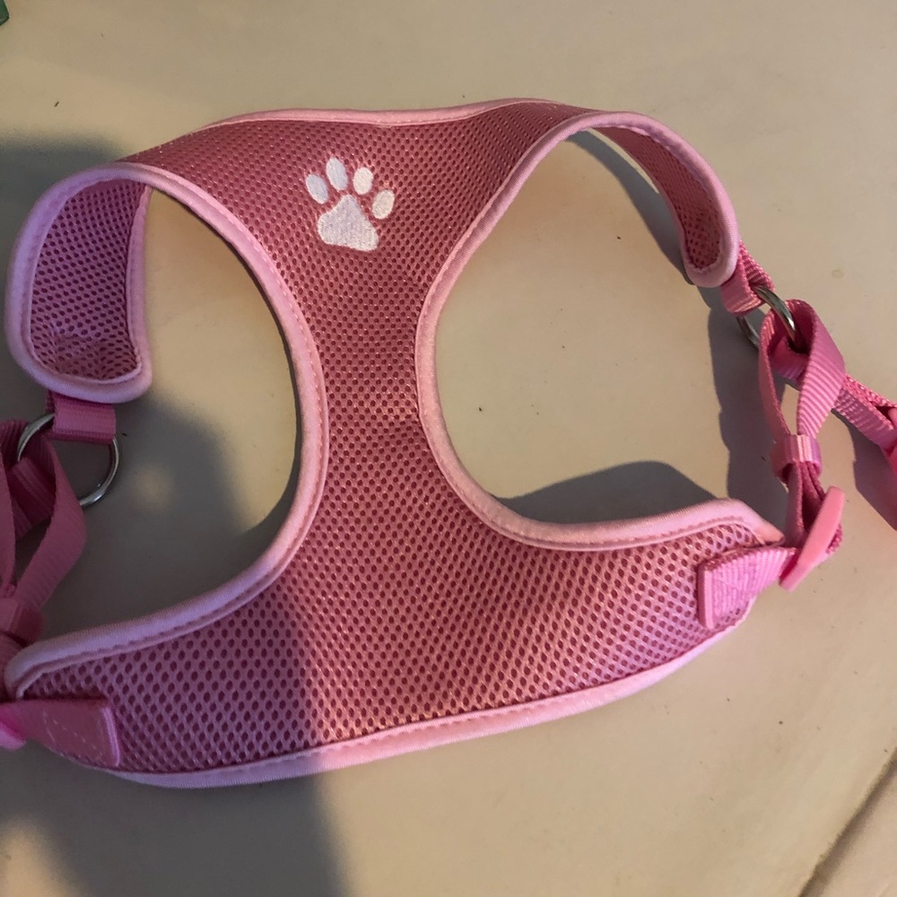 Large dog harness for little girl